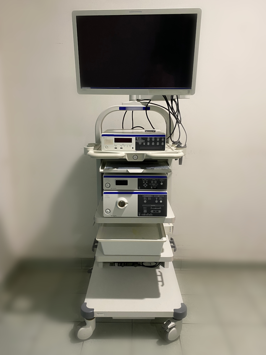 Endoscopy system