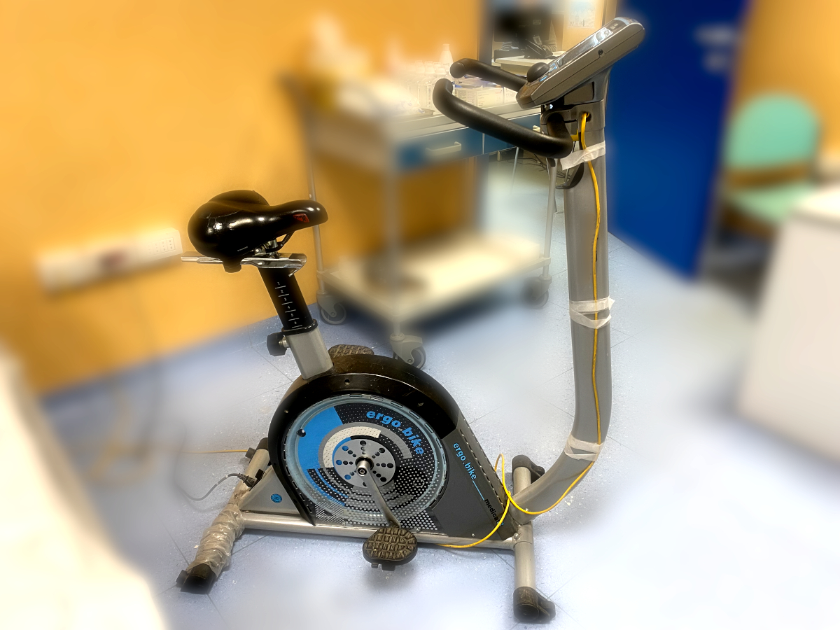 Ergometer, treadmill, stress test